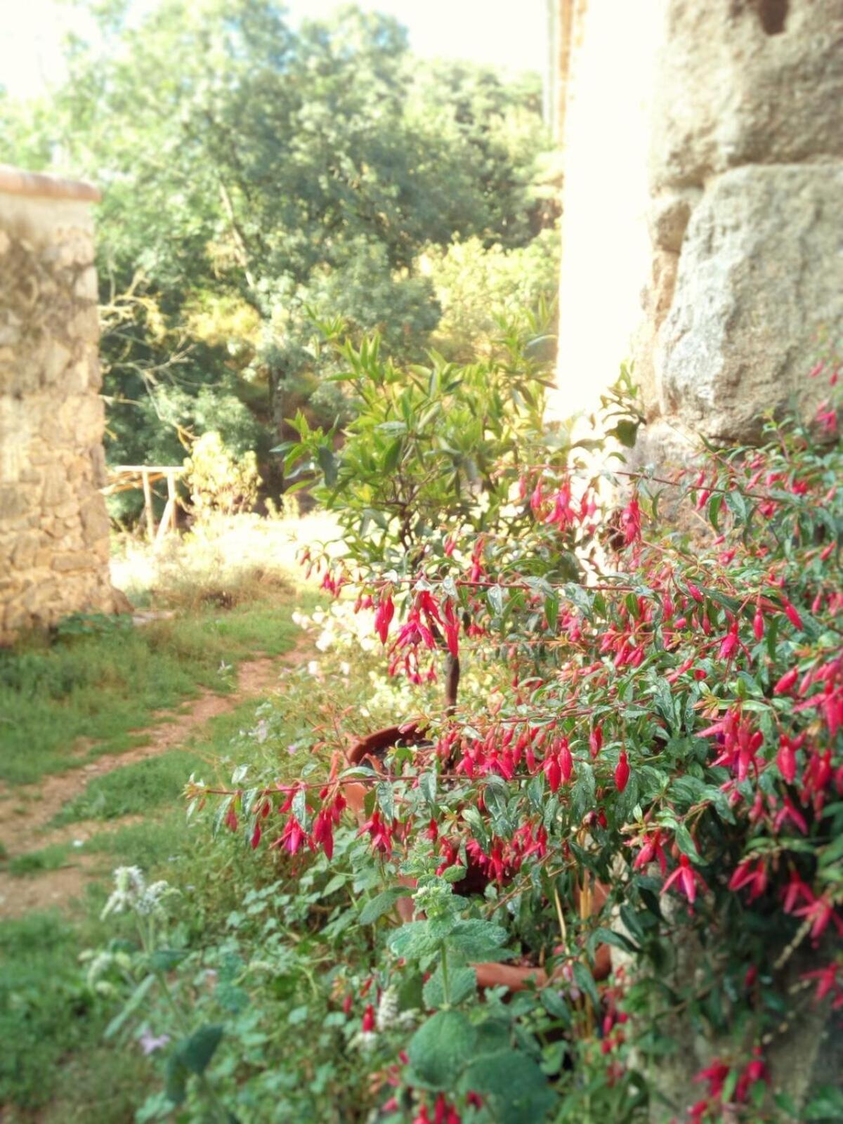 Villa Ferme de Samson Saint-Péray Zimmer foto